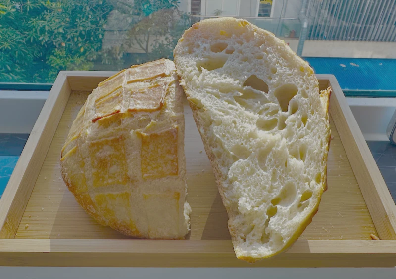 classic 2halves checker 02