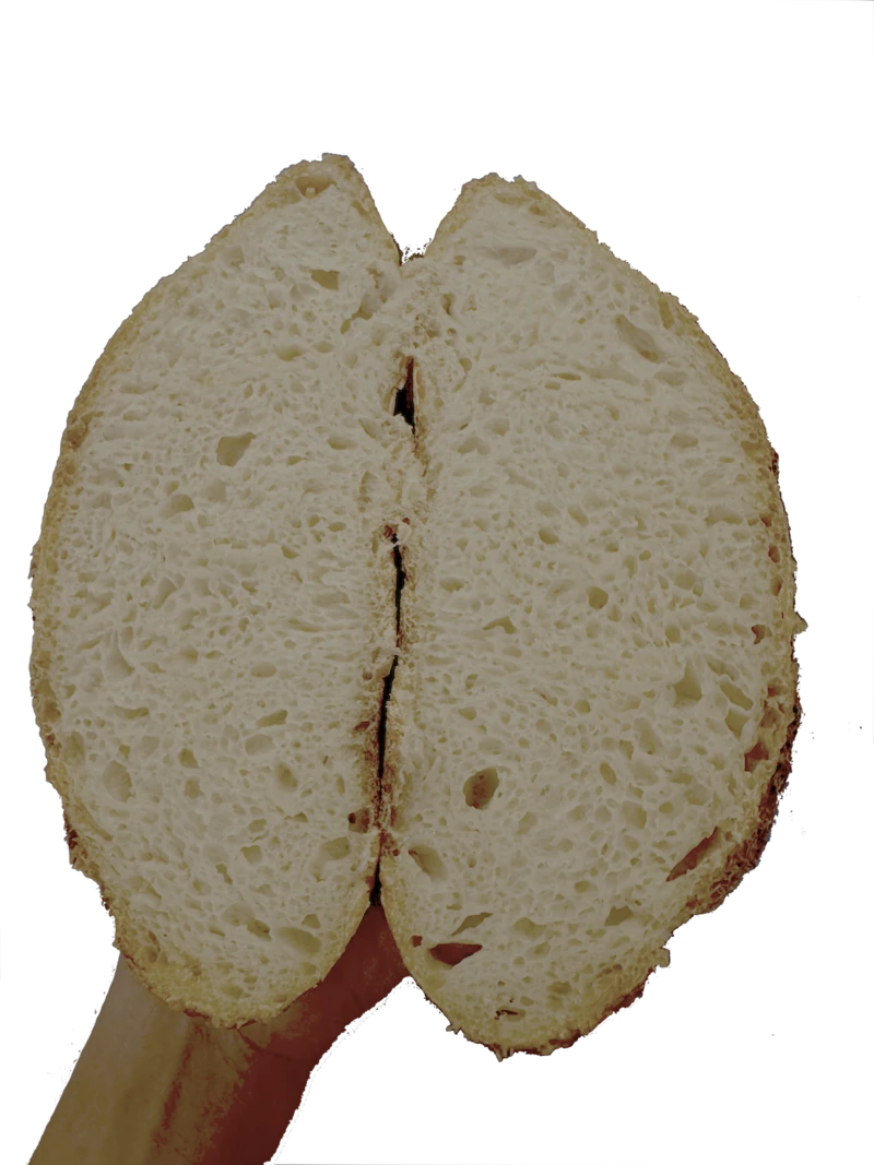 Classic sourdough cross-section