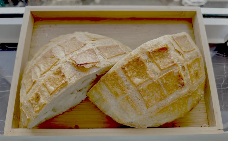 classic 2halves checker 04